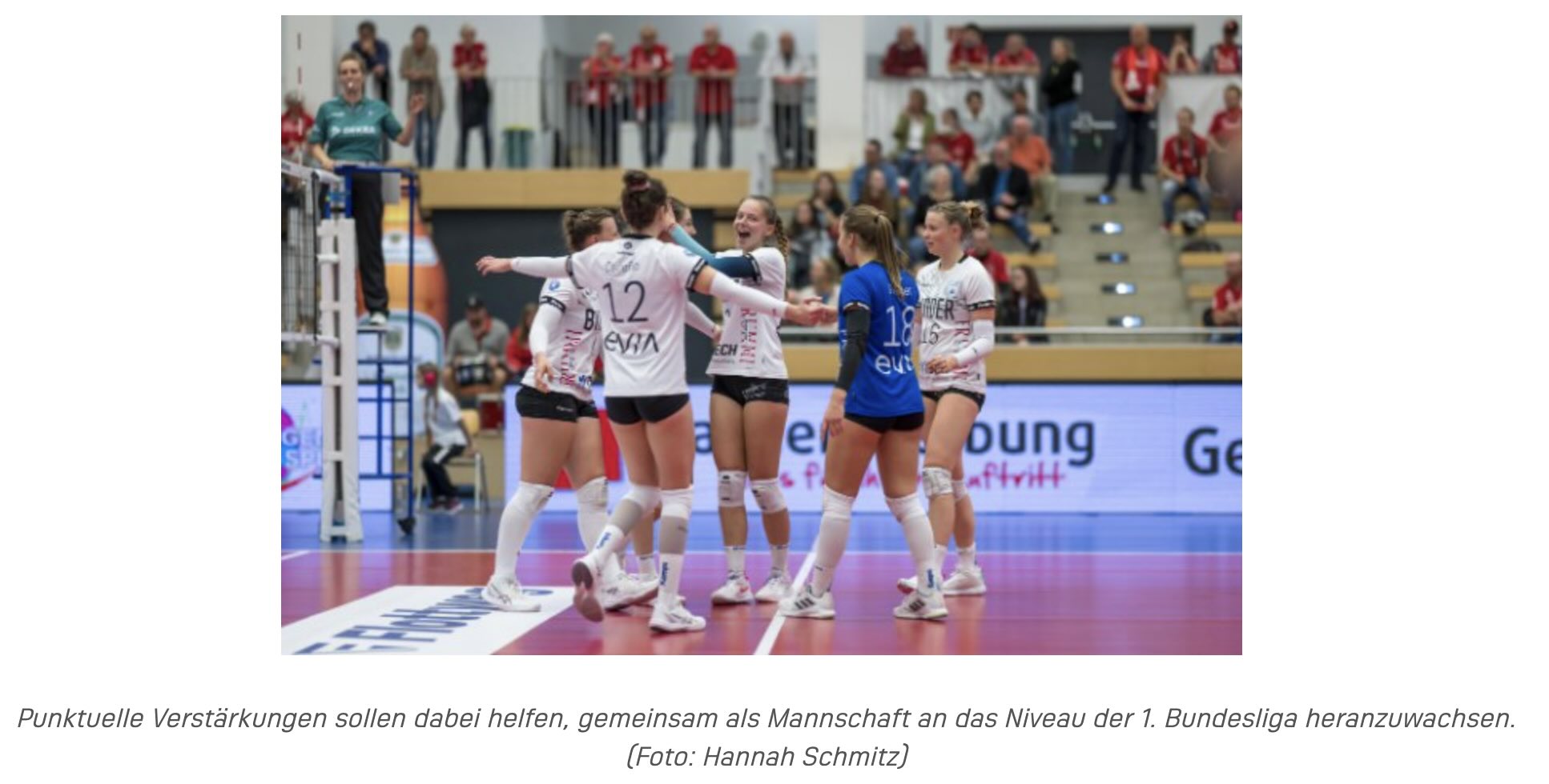 Medieninformation | Volleyball Bundesliga | 10.06.2025